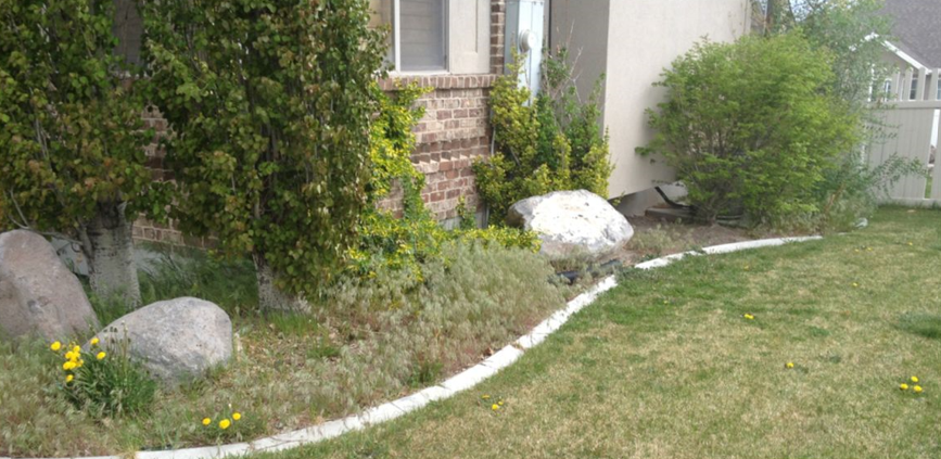 Avant — Terrain non entretenu